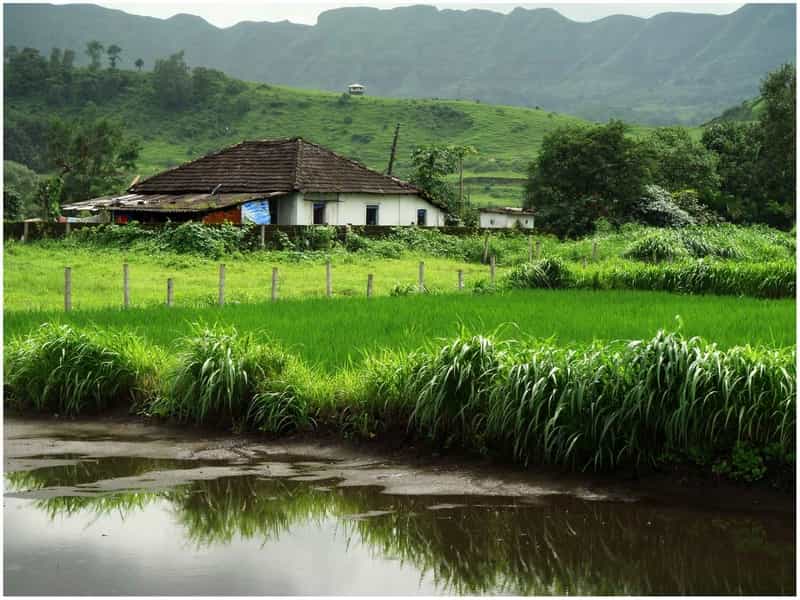  The lush greenery of Karjat