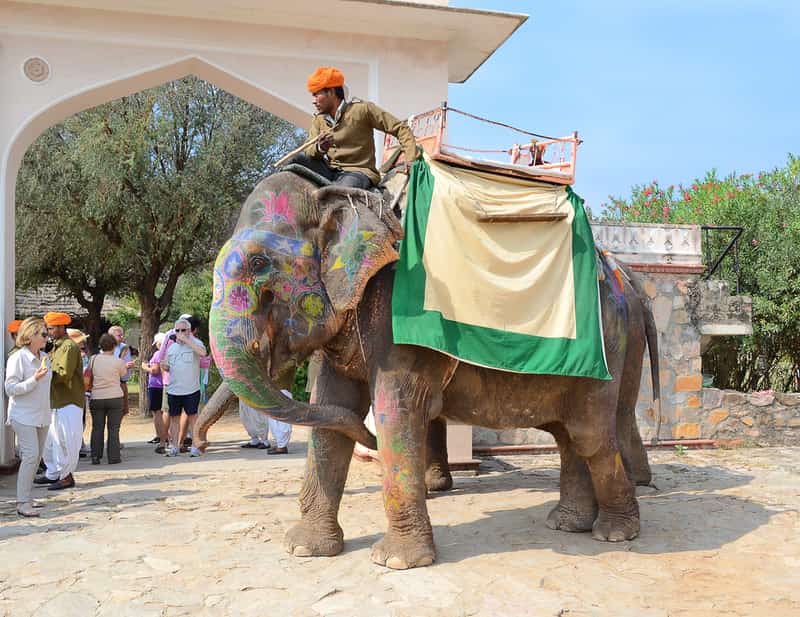 A painted elephant at the beginning of the safari