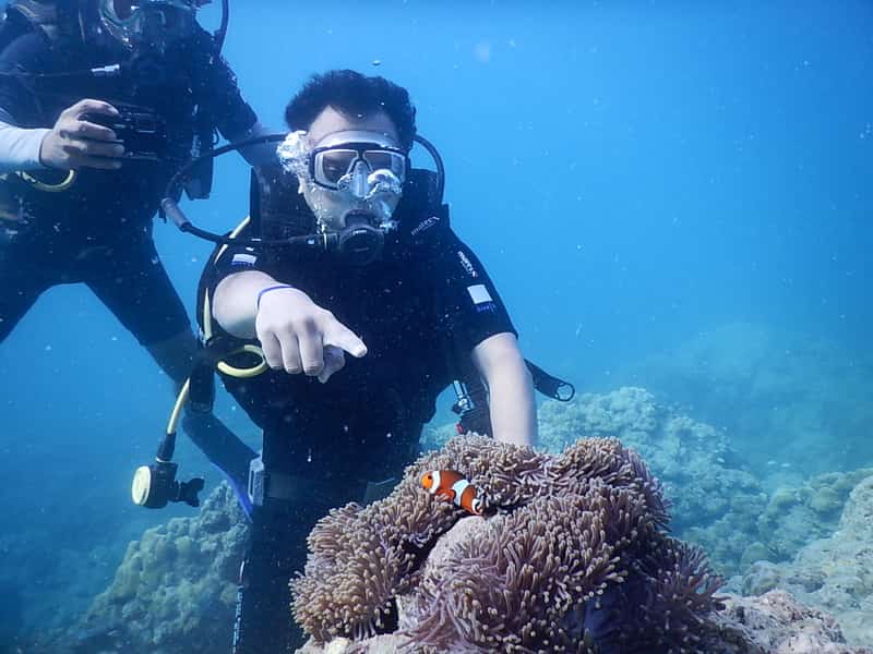 A snorkelling patron with his instructor