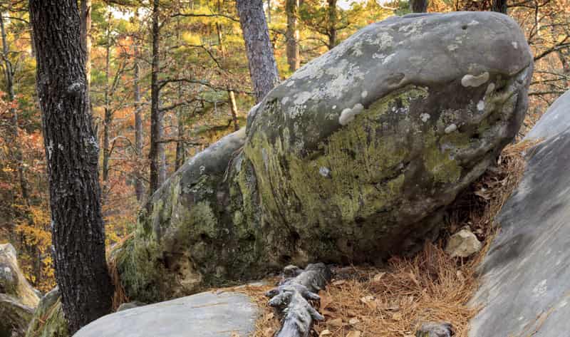 A visit to the Robber's Cave is a must for anyone travelling to Dehradun