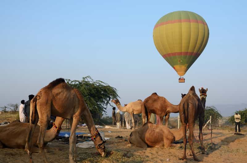 Adventure Desert Camp, Pushkar