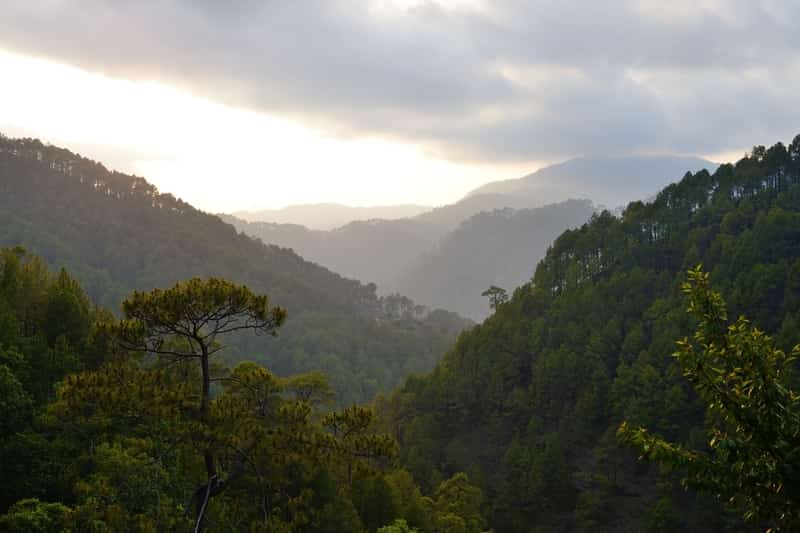  Almora