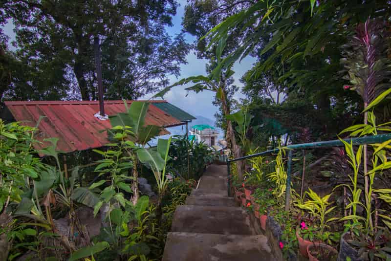 Anamudi Shola National Park