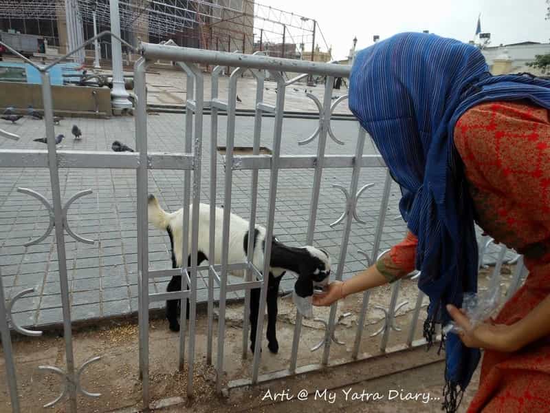 Arti Shah - My Yatra Diary