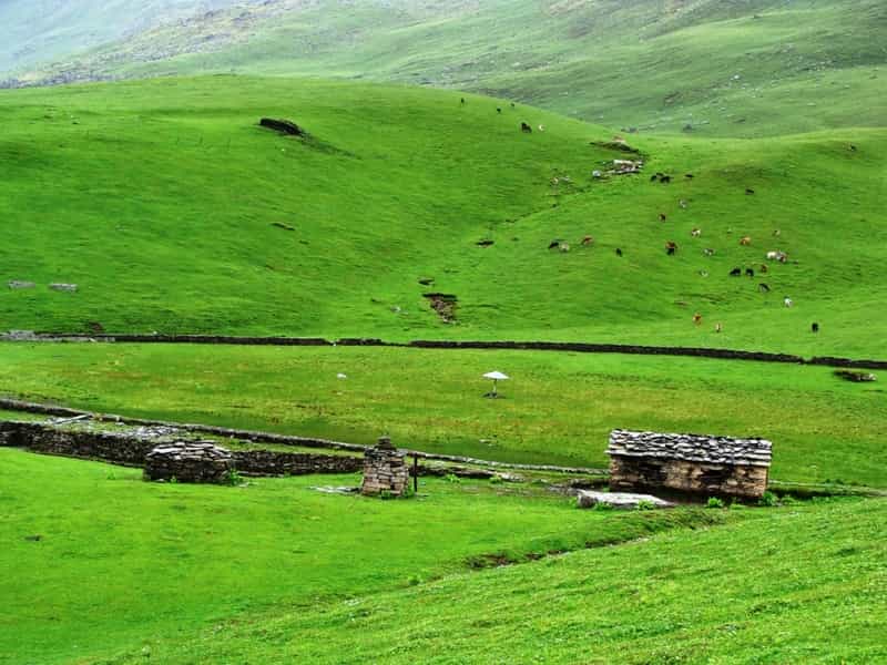 Bedni Bugyal Trek