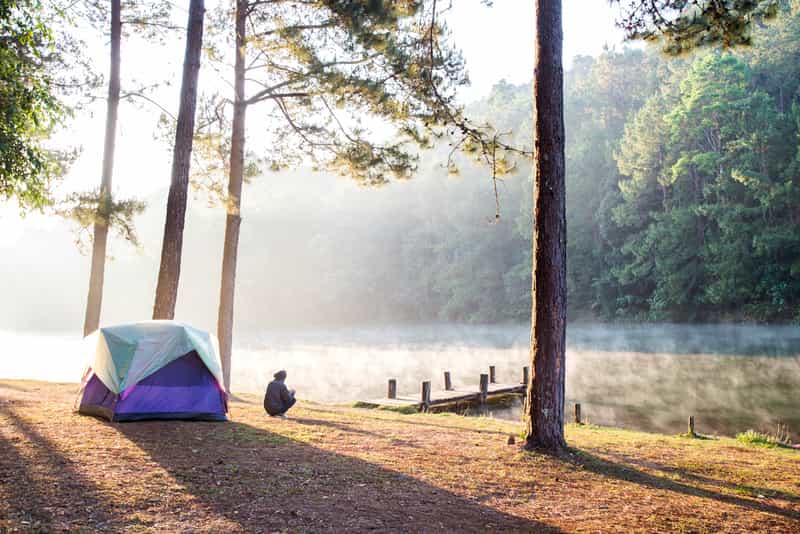 Camp Purple, Nainital