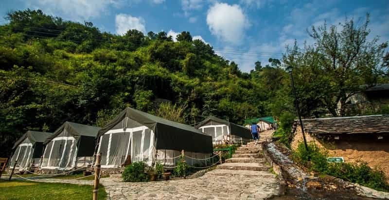 Camping at Shoghi, Shimla