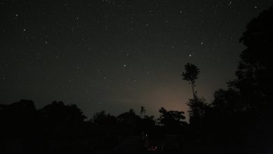 Coorg at Night