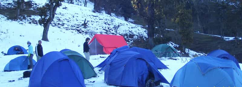 Dodital Trek