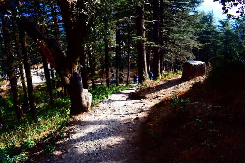 Enjoy scenic views as you take romantic walks along the many pathways in Mussoorie