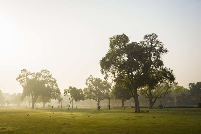 Gaze at the magnificent India Gate structure
