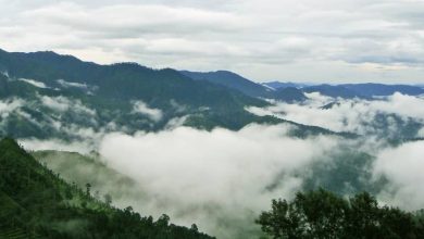 Hill Stations Near Delhi