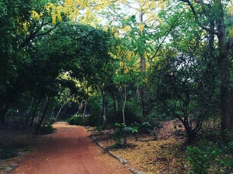 haunted road delhi If you see a woman dressed in white in Sanjay Van, look away