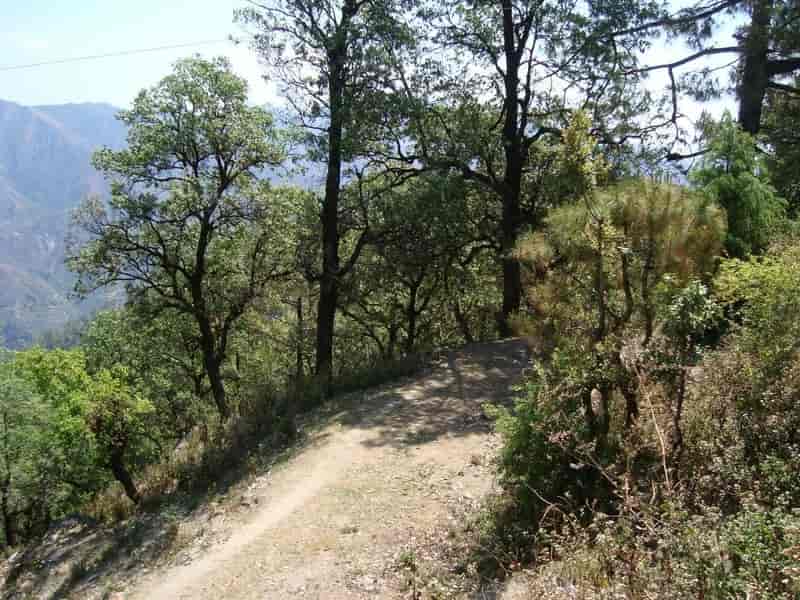 Lansdowne Trek