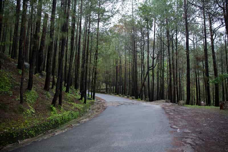 Lansdowne in Uttarakhand 