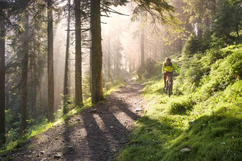 Mountain Biking