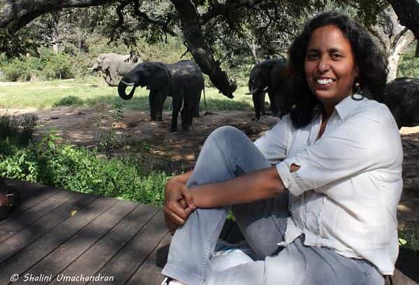 Mridula at the Manyeleti Game Reserve, South Africa