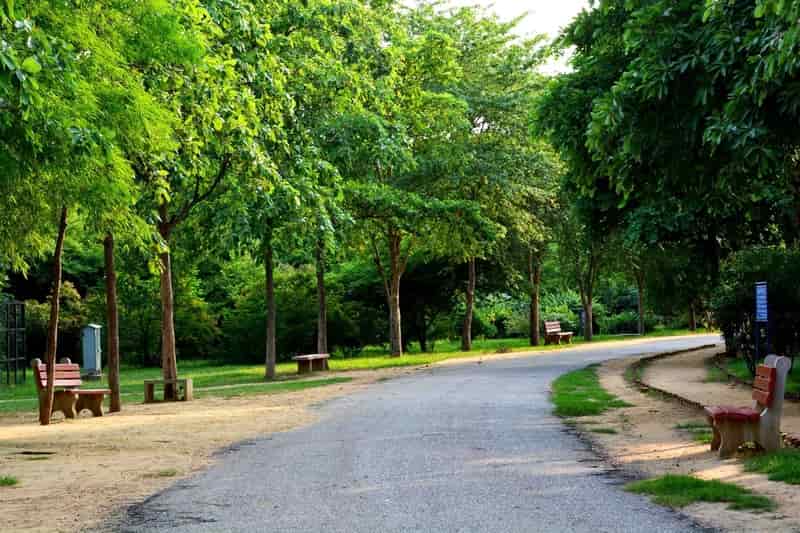 Sanjay Van and Taudevi Lal- Wildlife Experience