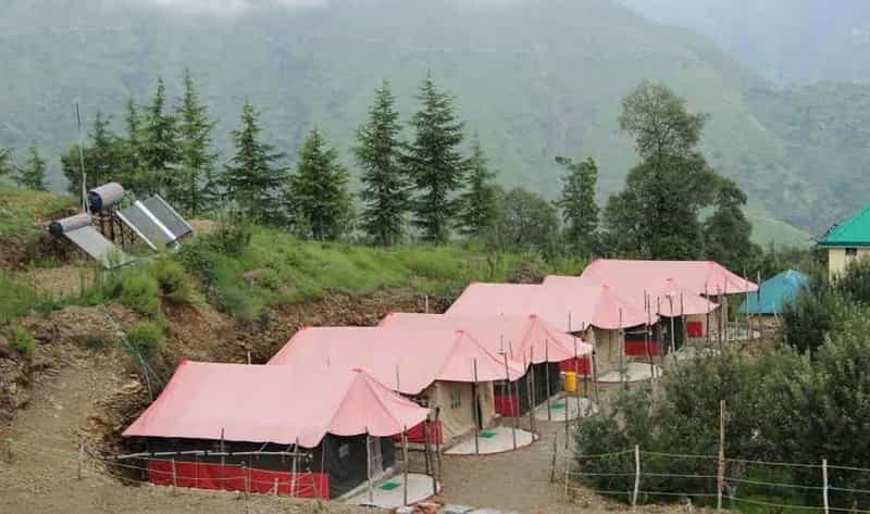 Snow Trail Camps, Chail, Shimla
