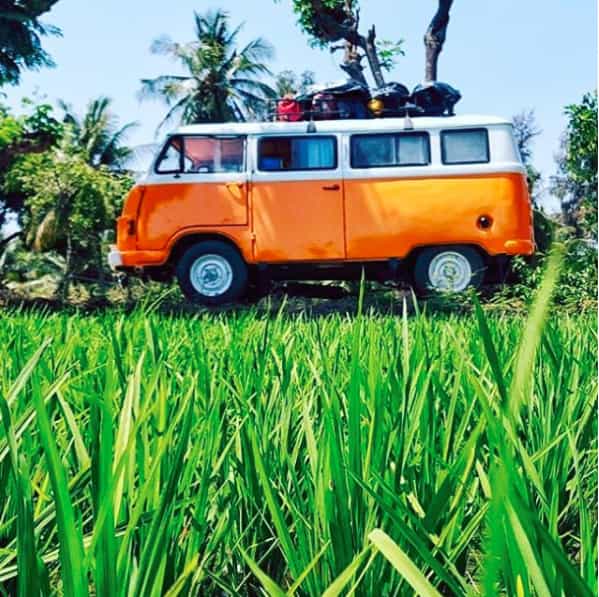 The Van