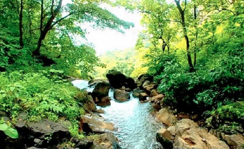 The creek at Durshet