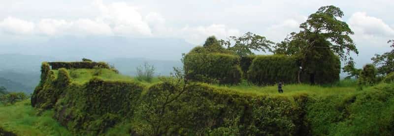 The lush greenery provides a scenic and romantic backdrop