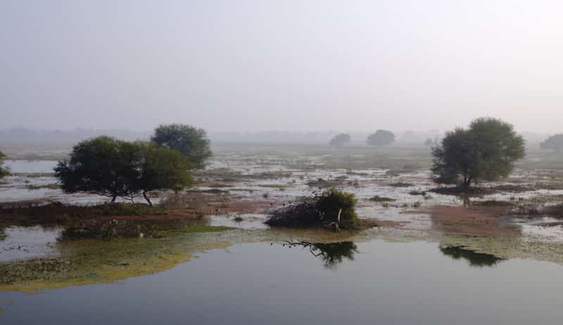 This National Park is a World Heritage Site