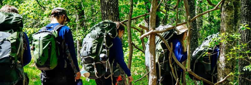 Tourists starting the jungle walk