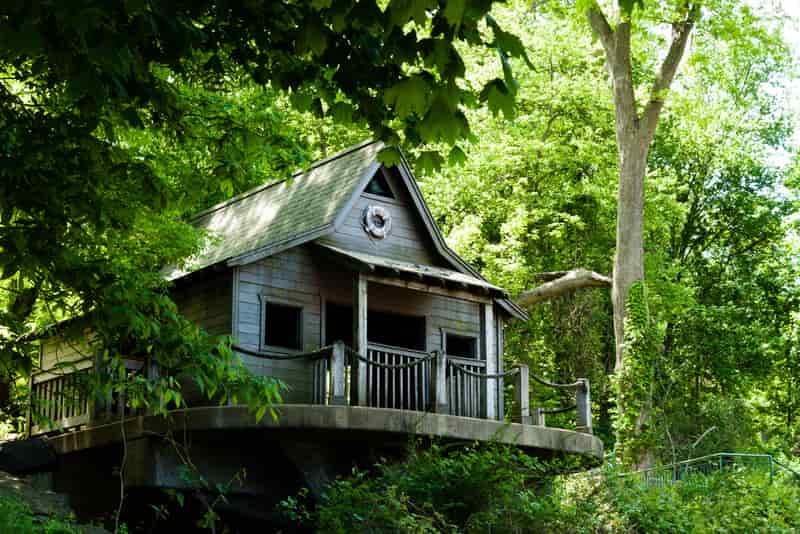 Tree House