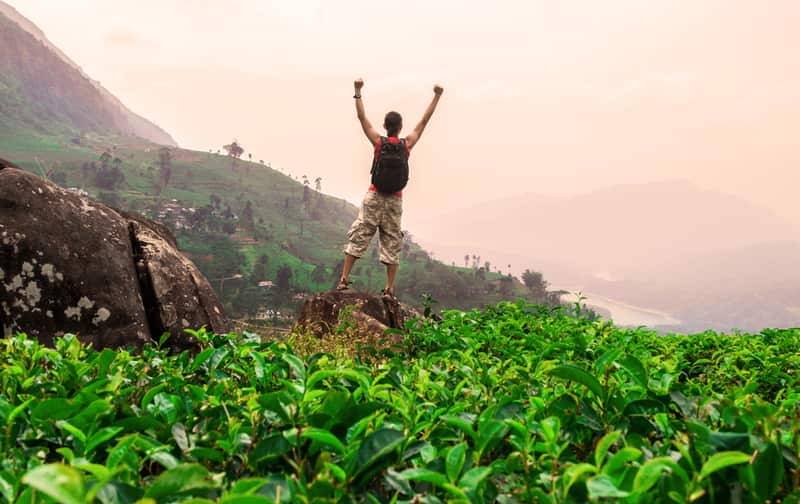 Trekking in Munnar