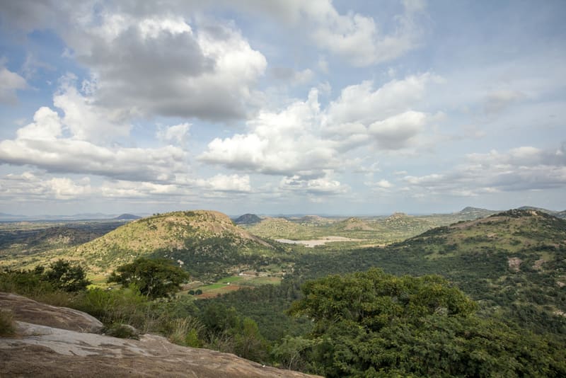 Avalabetta