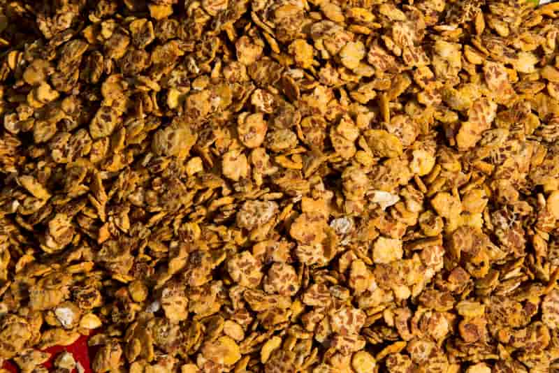 Chana Zor Garam