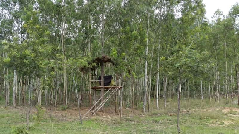 A tent accommodation set at Nachikuppam