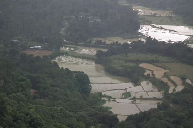 A view from the top at Madikeri