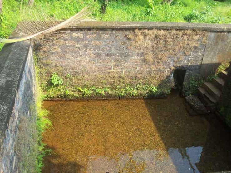 8 Beneficial Natural Springs in Goa - Treebo Blog