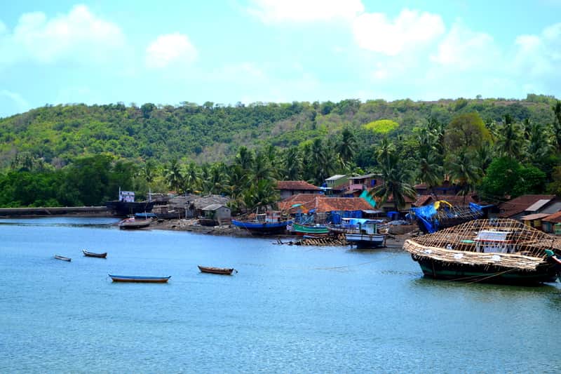 Arre Ware Along The Konkan Coast