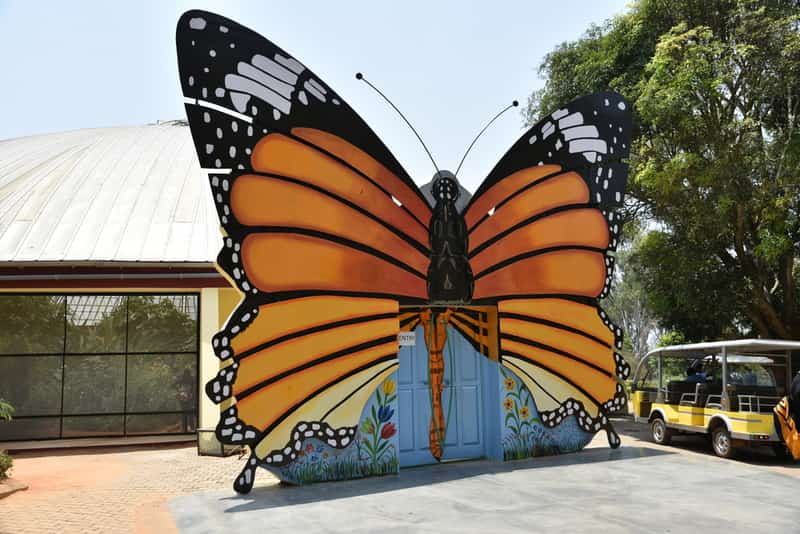 Bannerghatta National Park