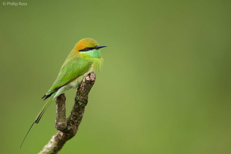 Bannerghatta National Park