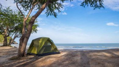 Beach Camping Near Mumbai