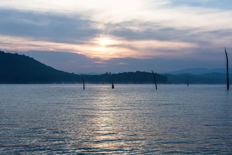 Bhadra River