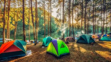 Camping Places Near Delhi
