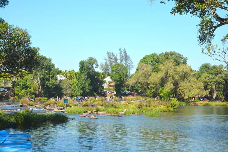 Dubare Elephant Camp