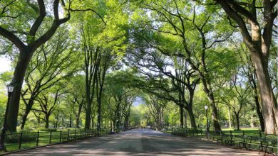 Famous Parks in Delhi