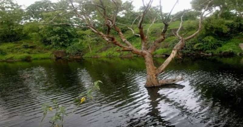 Gautala Autramghat Sanctuary, Aurangabad 