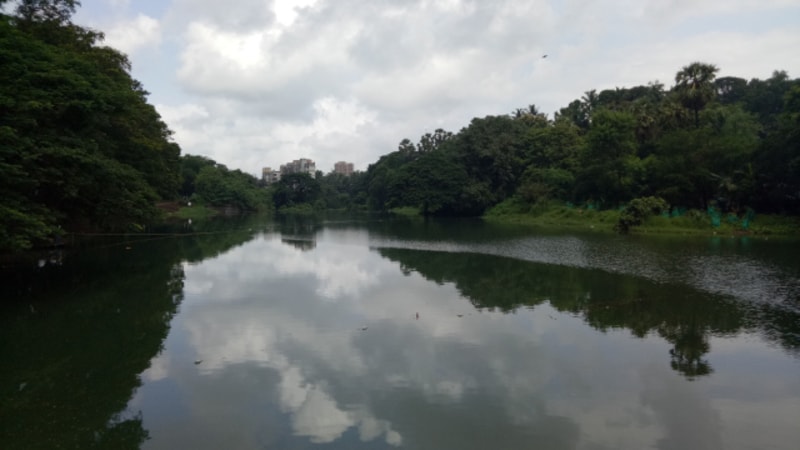 Hike The Shilonda Trail at Sanjay Gandhi National Park