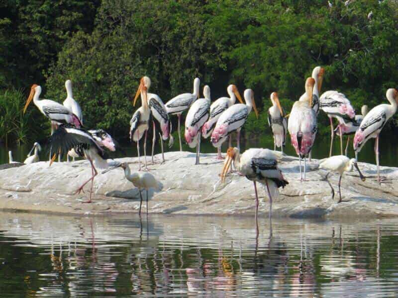 Kaggaladu Bird Sanctuary