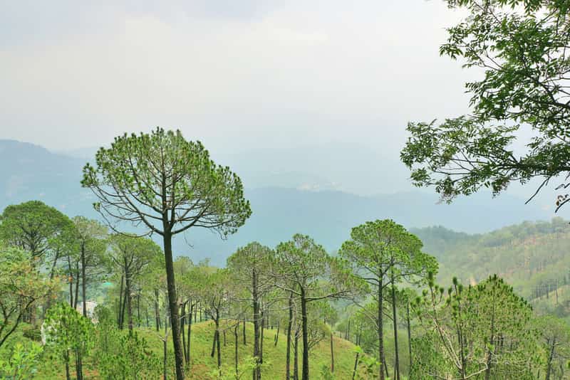 Kasauli Hill Station