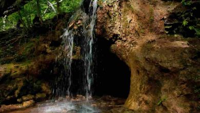 Kesarval Springs- One of the best natural springs in Goa