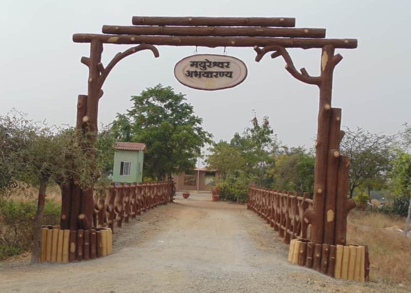 12 Wildlife Sanctuary Near Mumbai Treebo Blogs
