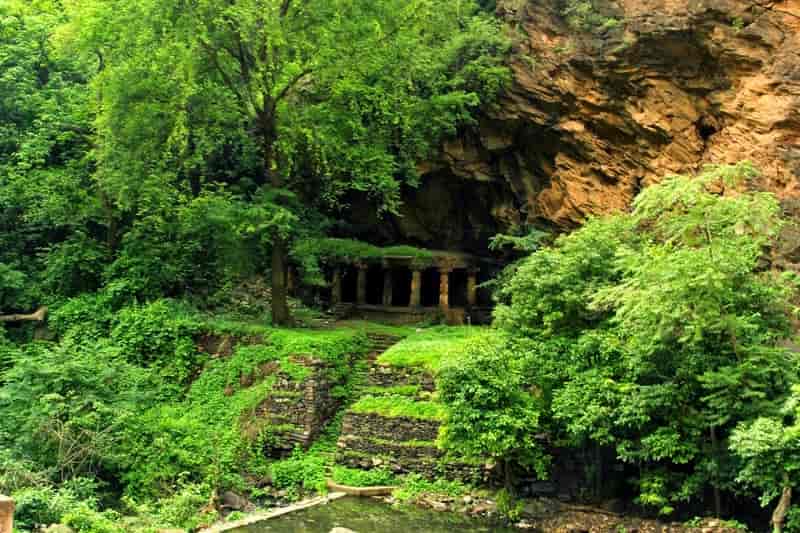 Nallamala Forest